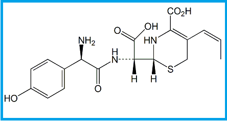 CEFPROZIL EP IMPURITY G  
